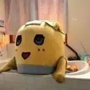 ふなおの画像