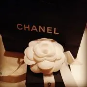 pannaの画像
