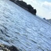 takedaの画像