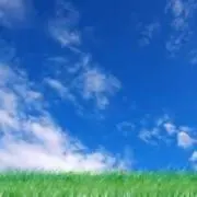 ちょこちょこの画像