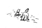 ダニーキャットの画像
