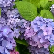 ちゃん　プロフ確認お願いしますの画像