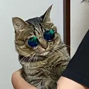 えぺ