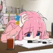 ぽんの画像