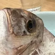 田舎者
