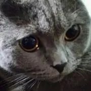 ジャック