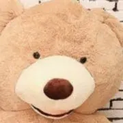 hi-haの画像