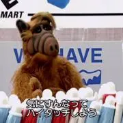 ALFの画像