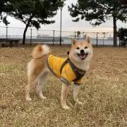 むぎ❤︎の画像