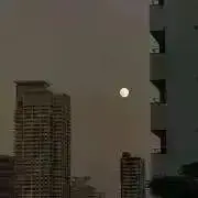 poht