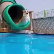 こーちゃん