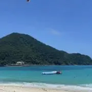 bro939の画像