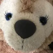 KBの画像