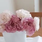 muuyuの画像