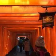 あるぱか【断捨離】
