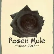 Rosen Mule