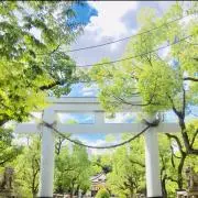 Takekoの画像