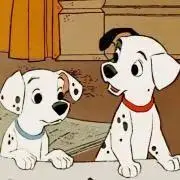 こなんの画像
