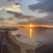 ありの画像