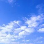 GREEN123の画像