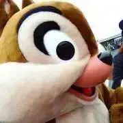 どんぐりの画像