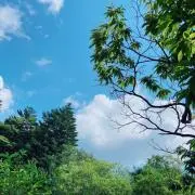 EMiの画像