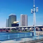 ぽん。の画像