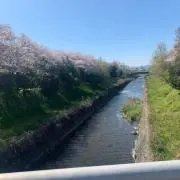 べんぐ
