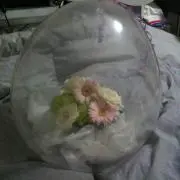 ぴろたんの画像