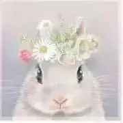 ラビ☆の画像