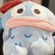くらげちゃんの画像