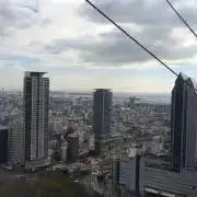pelpelの画像