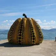conejoの画像