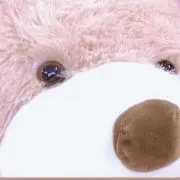とてぃの画像