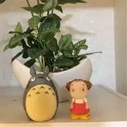 あーちゃん