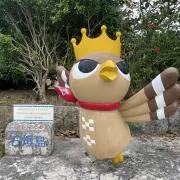 チャッピーちゃんの画像