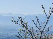 MNCDD　プロフ読お願いします。の画像