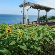 鉄道サボ 山陰 SAN-IN 指定席 両面プレート - メルカリ