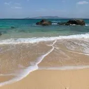 sea12