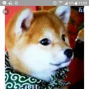 キキ