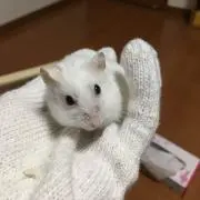 赤坂見附ないの画像