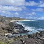 琥珀の画像