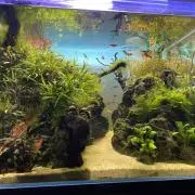 geroの画像