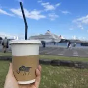 ナミの画像