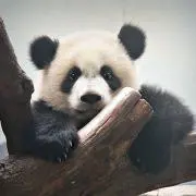 ☆プロフ必読