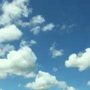 peco11の画像