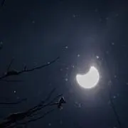 ♡ツキウサギ♡