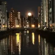 MOHの画像