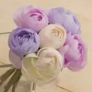 ☆sima ☆の画像