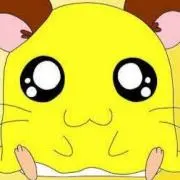 ちび丸chanの画像